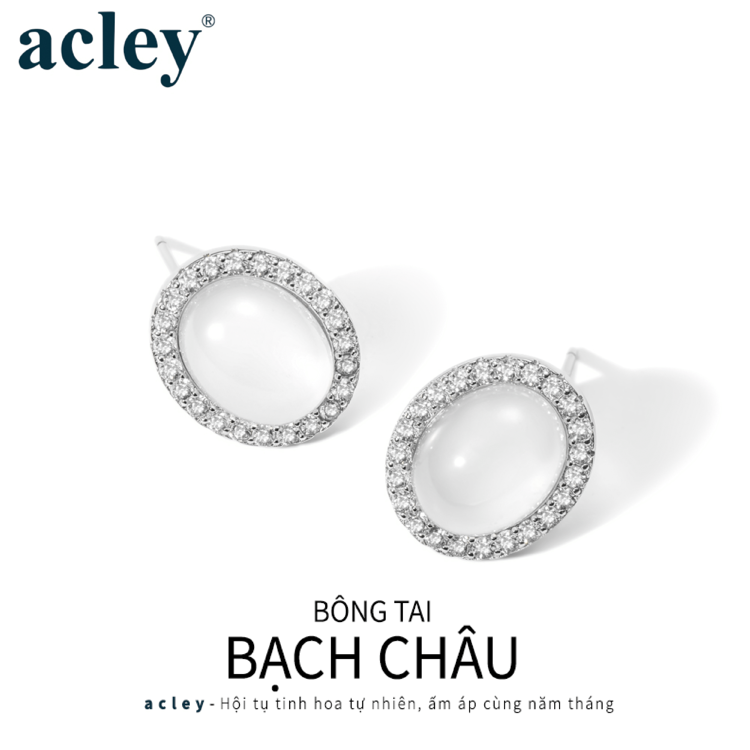 Bông tai Bạch Châu – Acley | Bạc S925 + Mã não trắng + Đá CZ Zirconia | YG08485A8Zb4 - Image 2